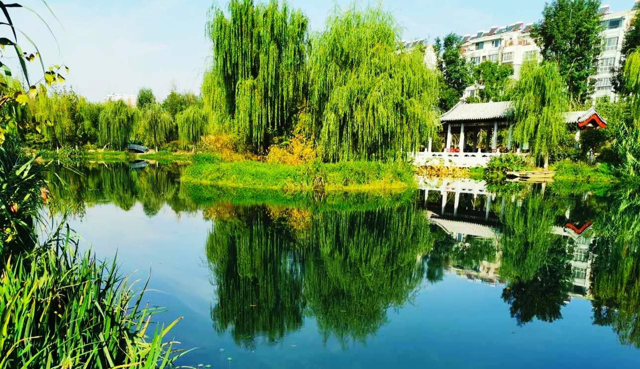 桃源梦境 - 章丘杂谈 - 章丘人论坛