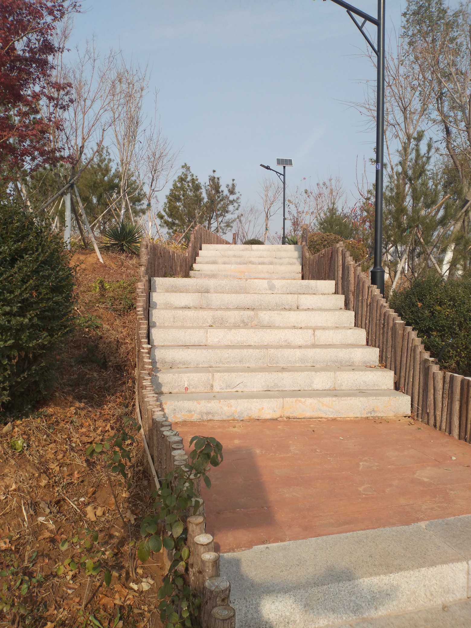 赭山公园 - 章丘杂谈 - 章丘人论坛